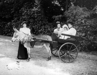 Carretto trainato da asini vittoriano, c.1890